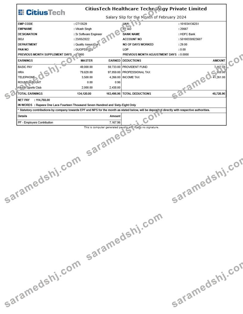 CitiusTech Healthcare Technology payslip template in Word and PDF formats.pdf, 1